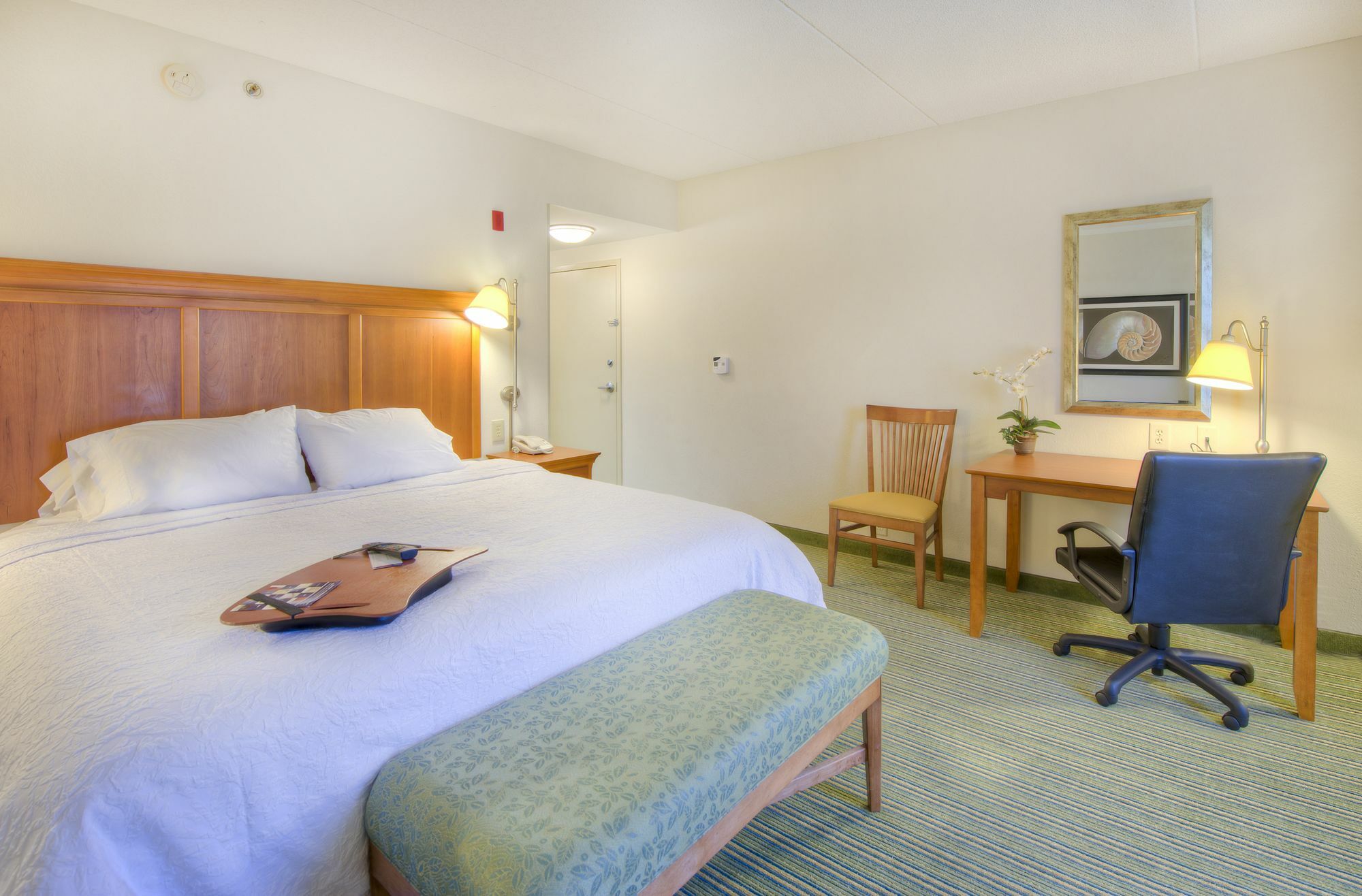 Hampton Inn Wilmington University Area Exterior foto